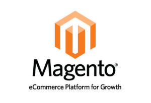 Magento Web Development for ecommerce stores